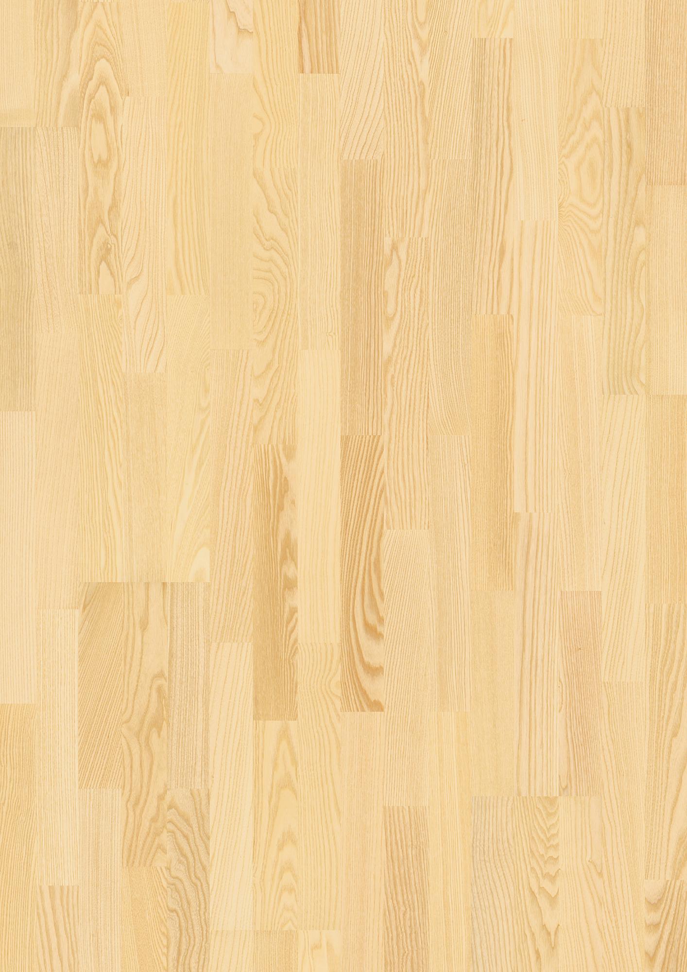Ash Transparent Andante