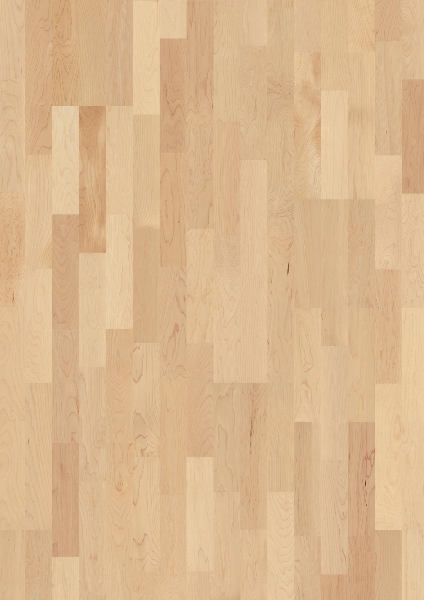 Maple can. Transparent Andante