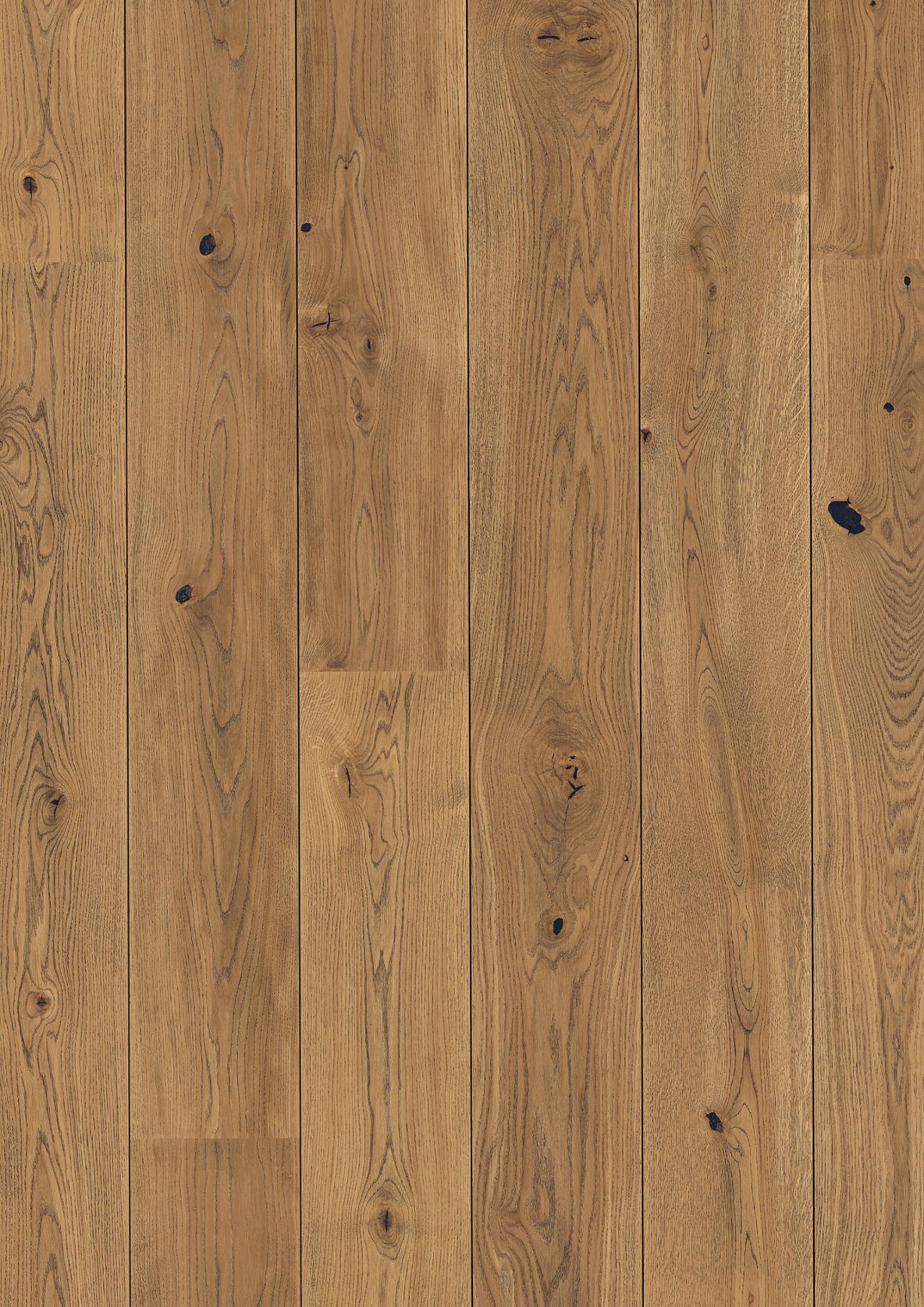 Oak Alamo Vivo