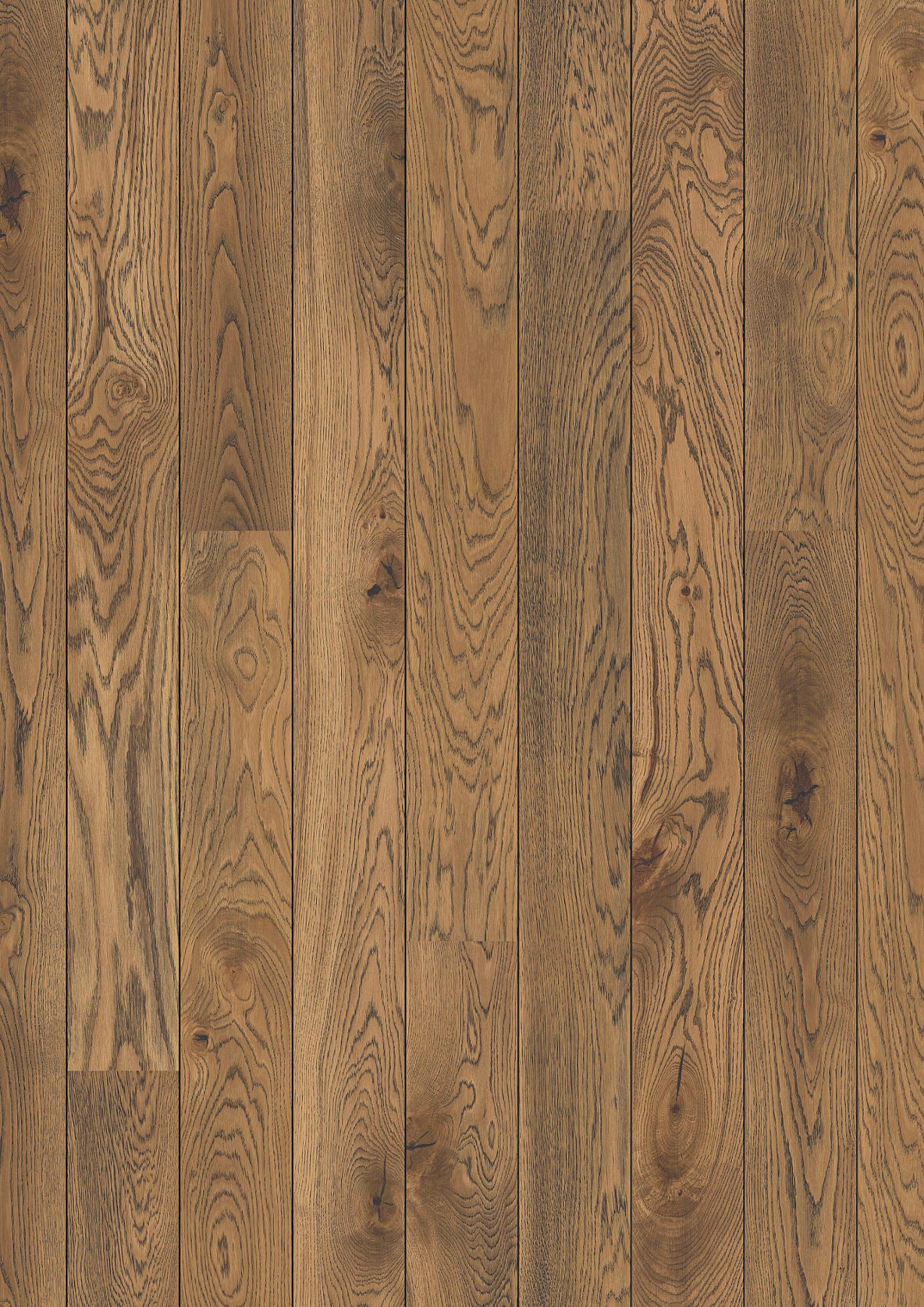 Oak Alamo Vivo