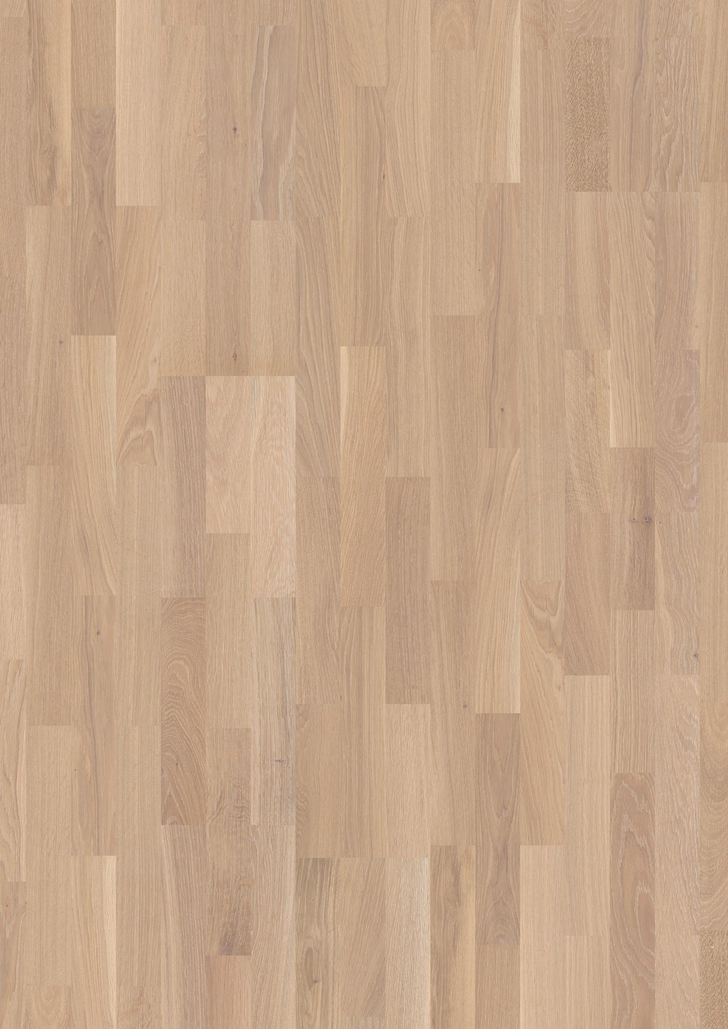 Oak Coral Finale