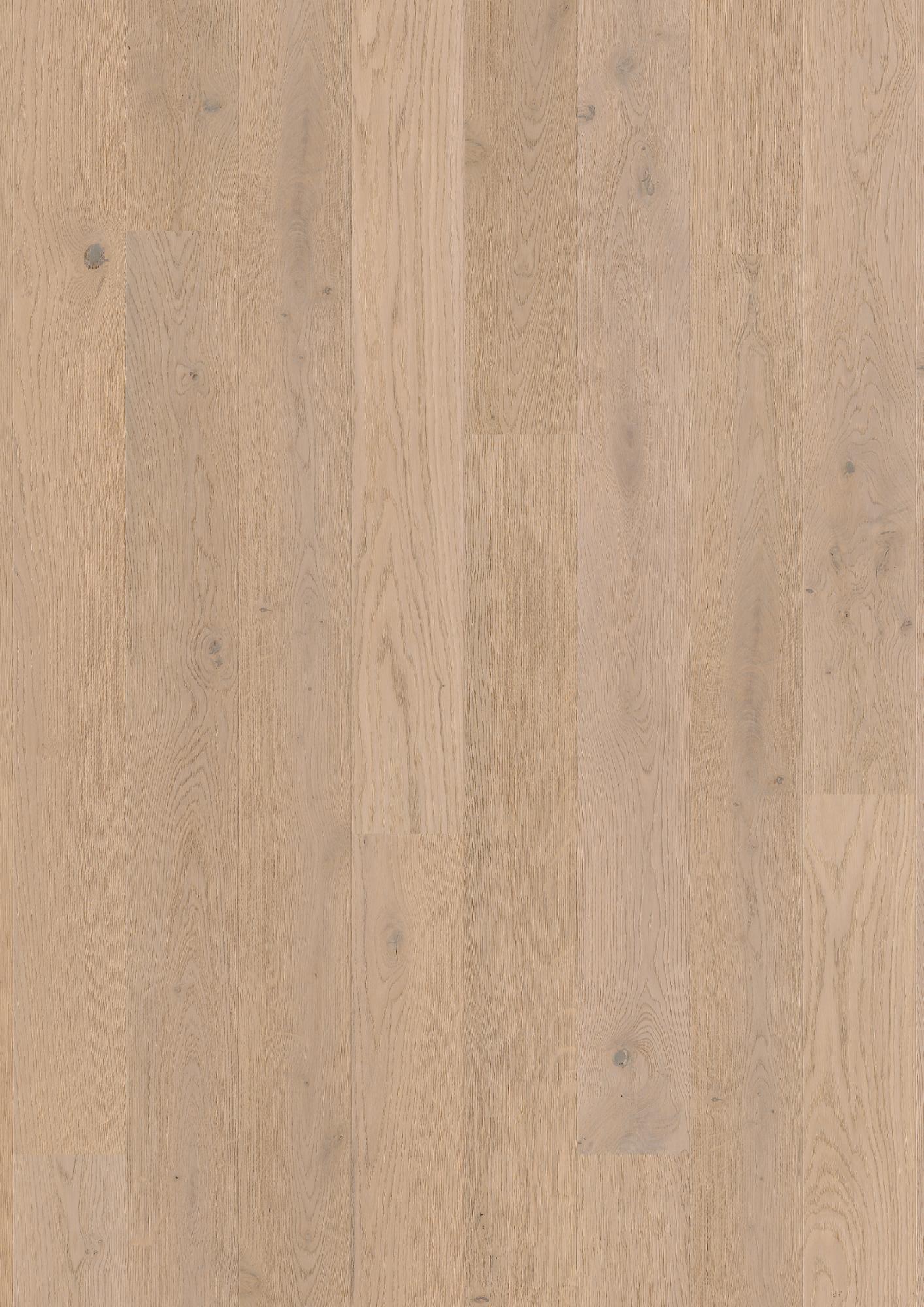 Oak Fresh White Animoso Mix