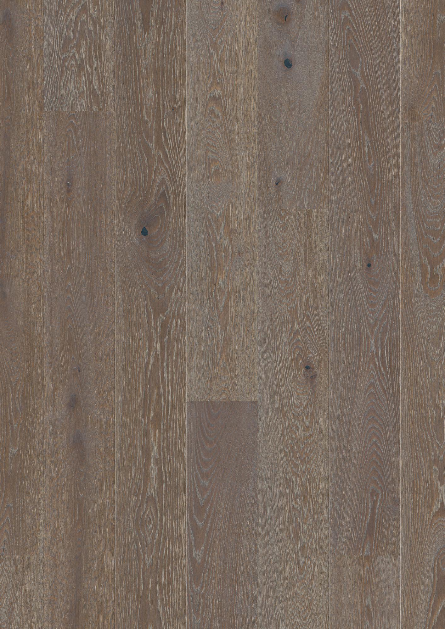 Oak Graphite Vivo