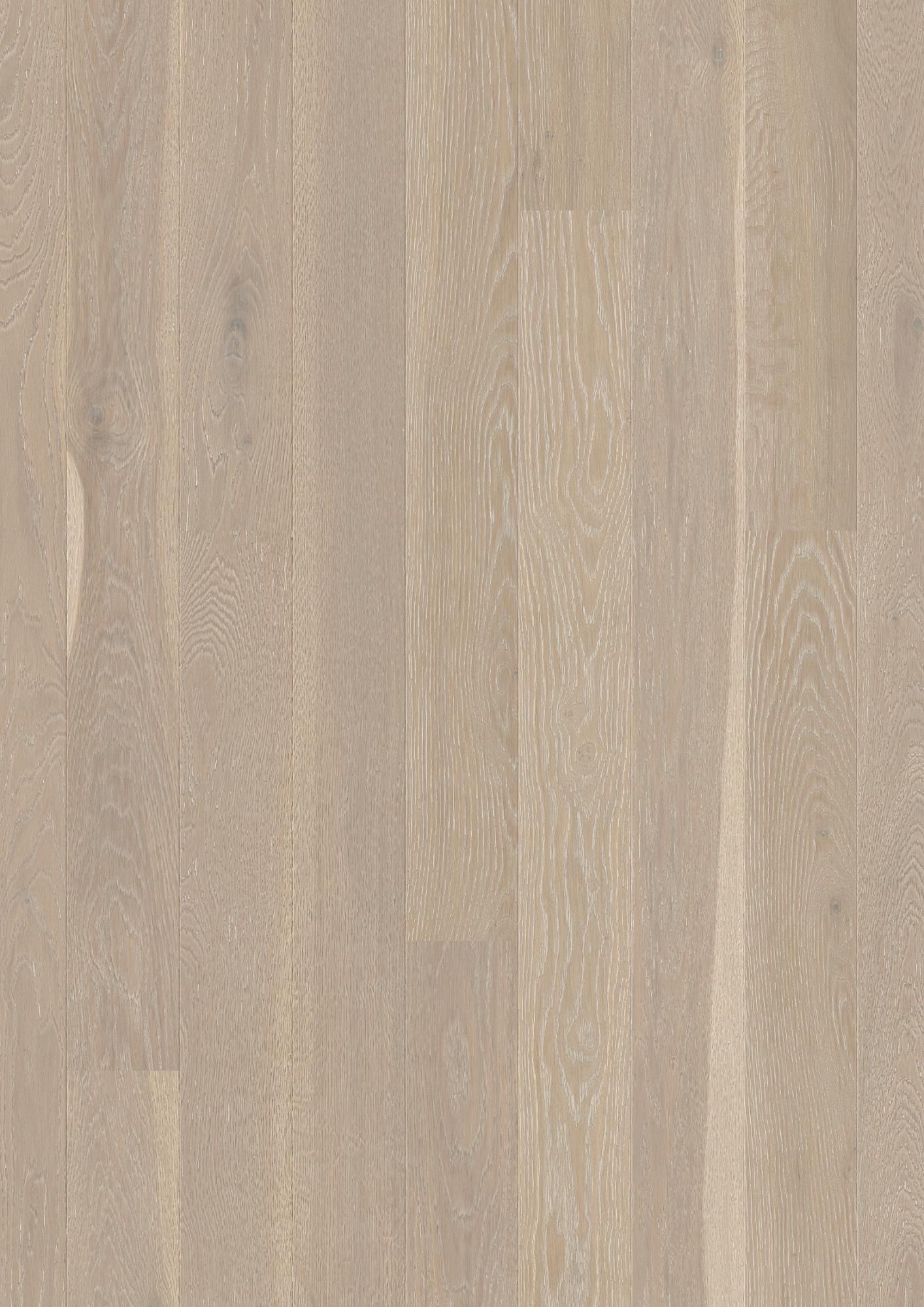 Oak Grey Harmony Animoso