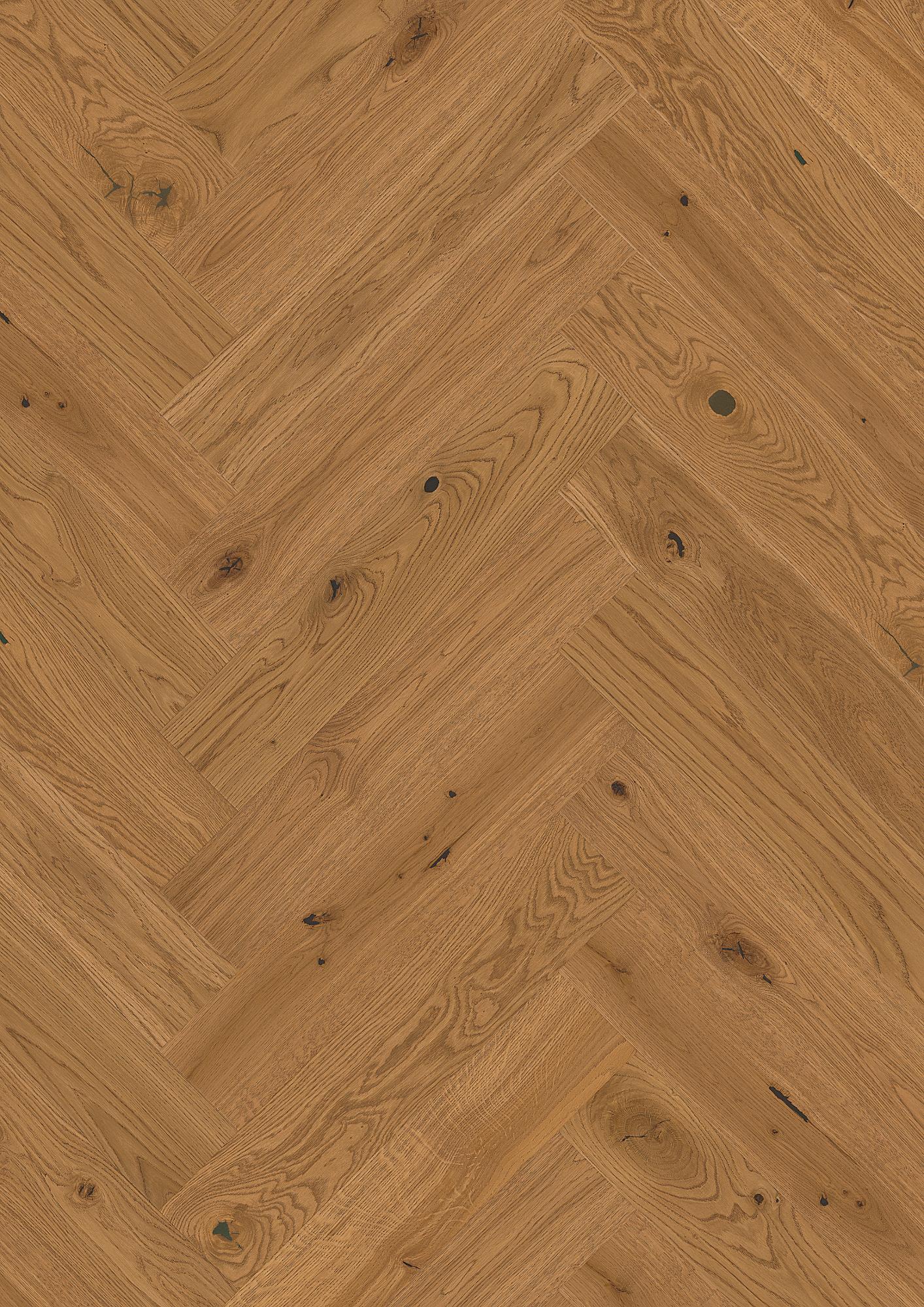 Oak Honey Vivo