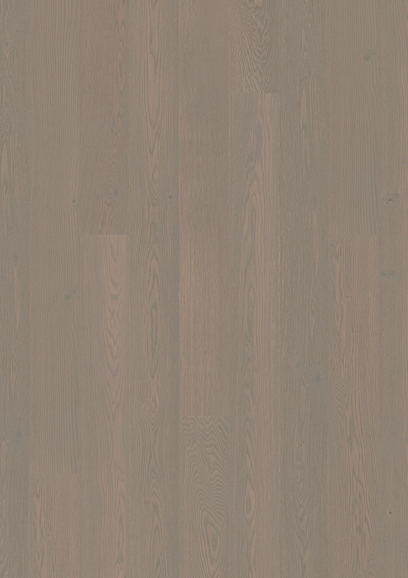 Oak Horizon Animoso