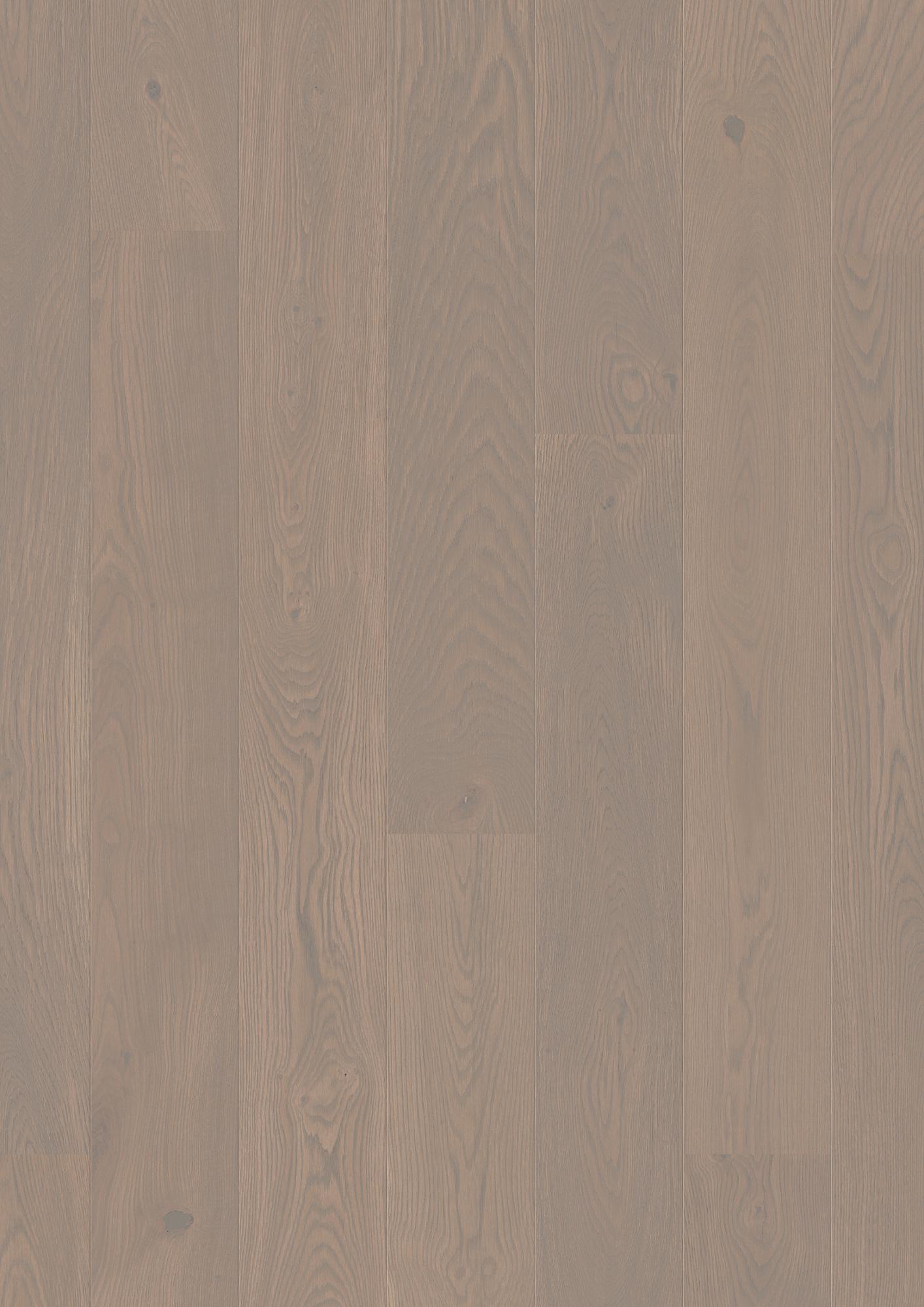 Oak Horizon Animoso