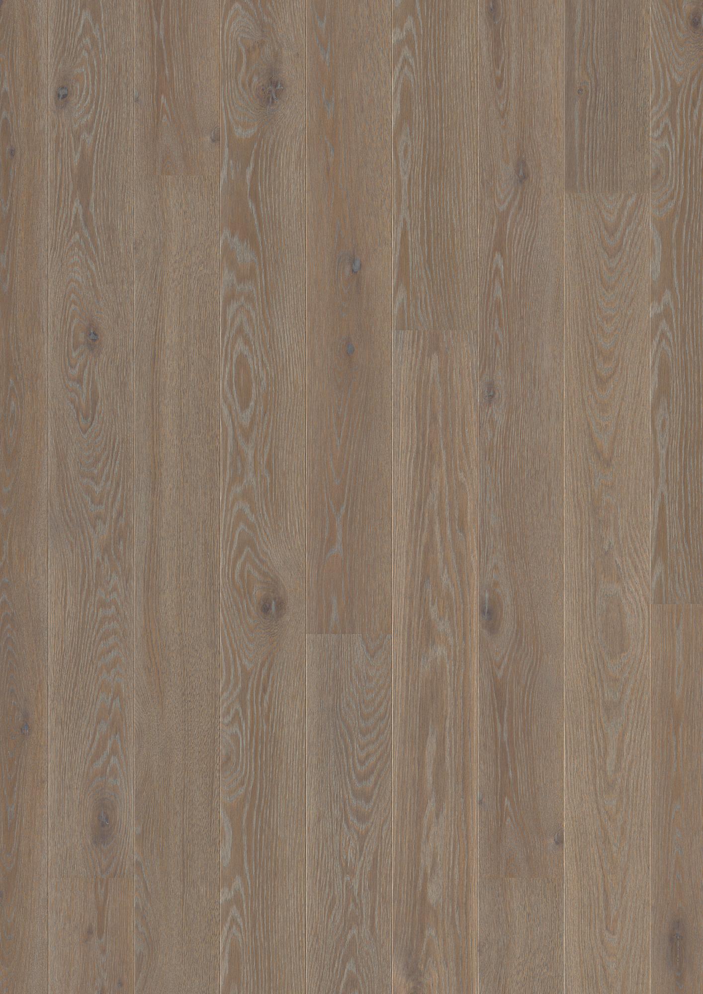 Oak India Grey Animoso
