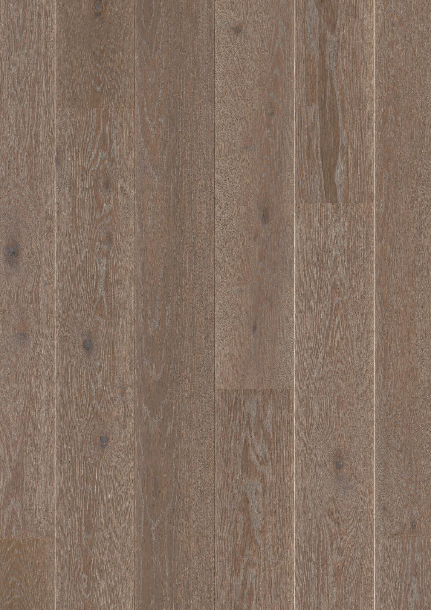 Oak India Grey Animoso