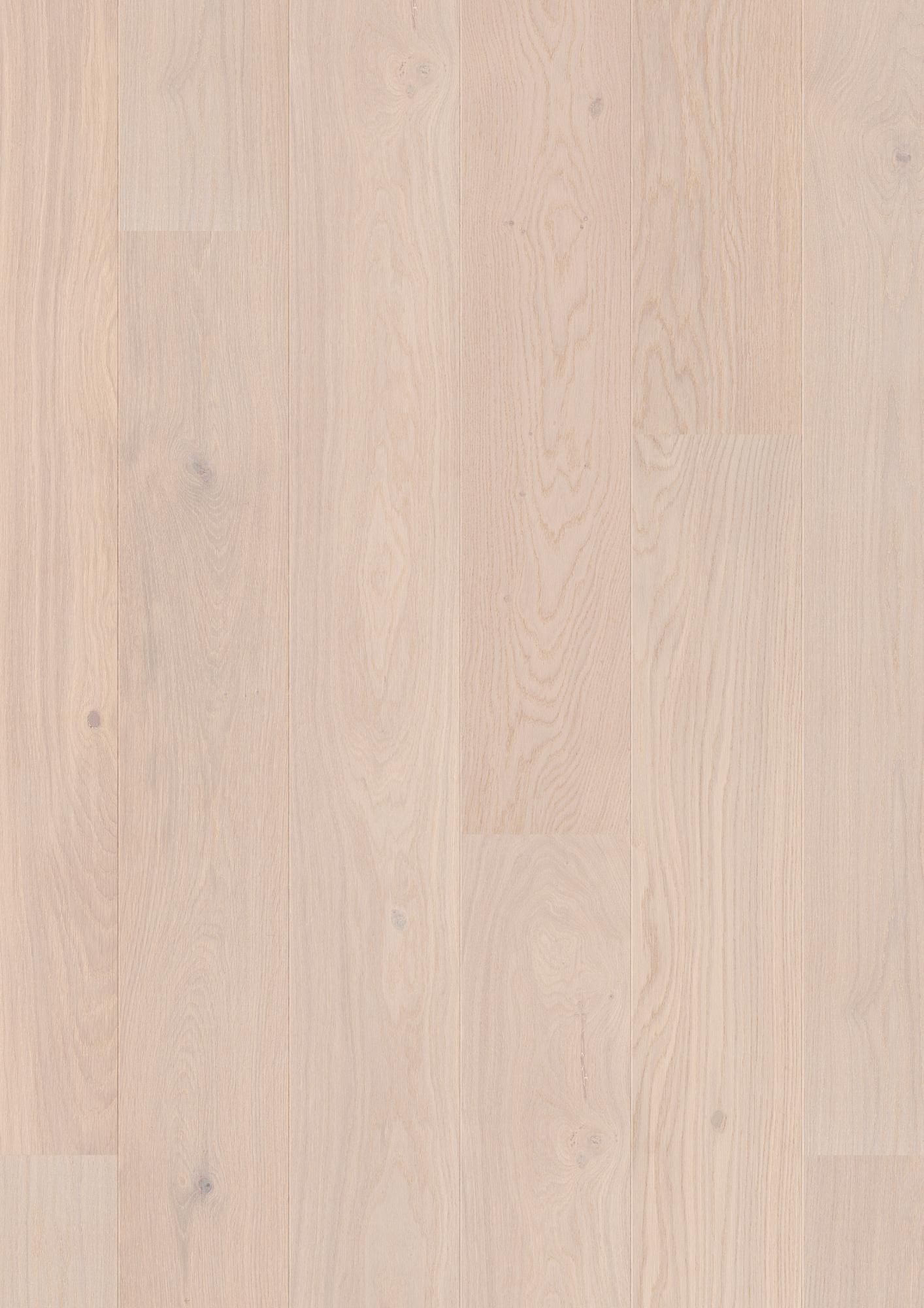Oak Pearl Animoso
