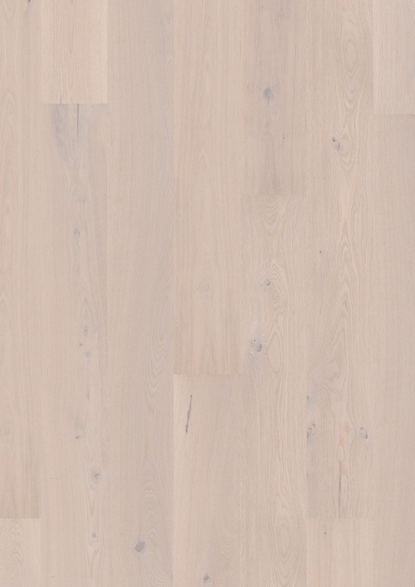 Oak Pearl Animoso