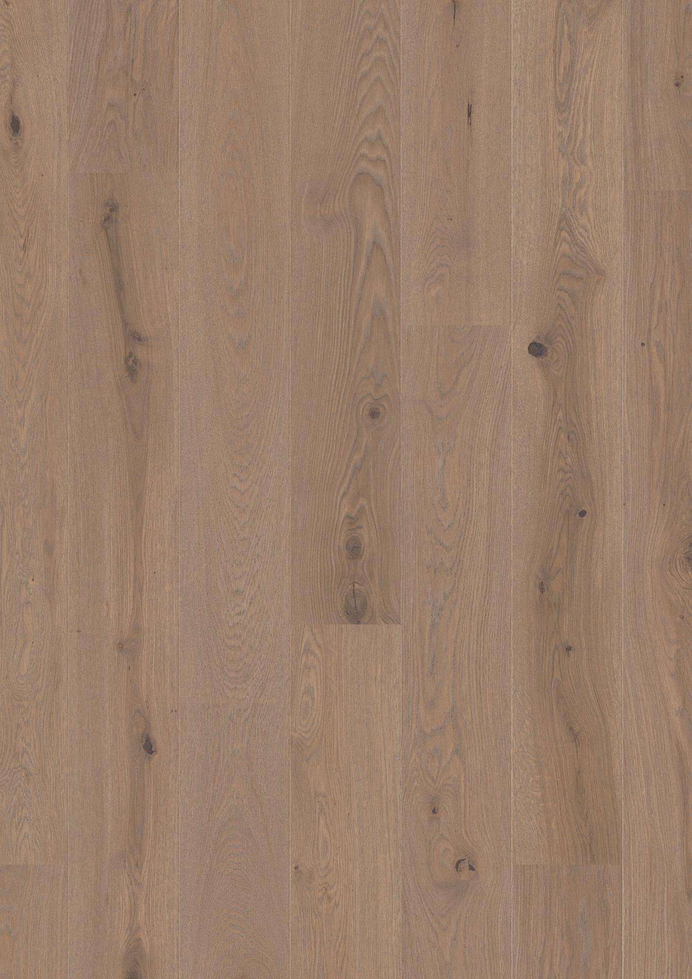 Oak Sand Animoso
