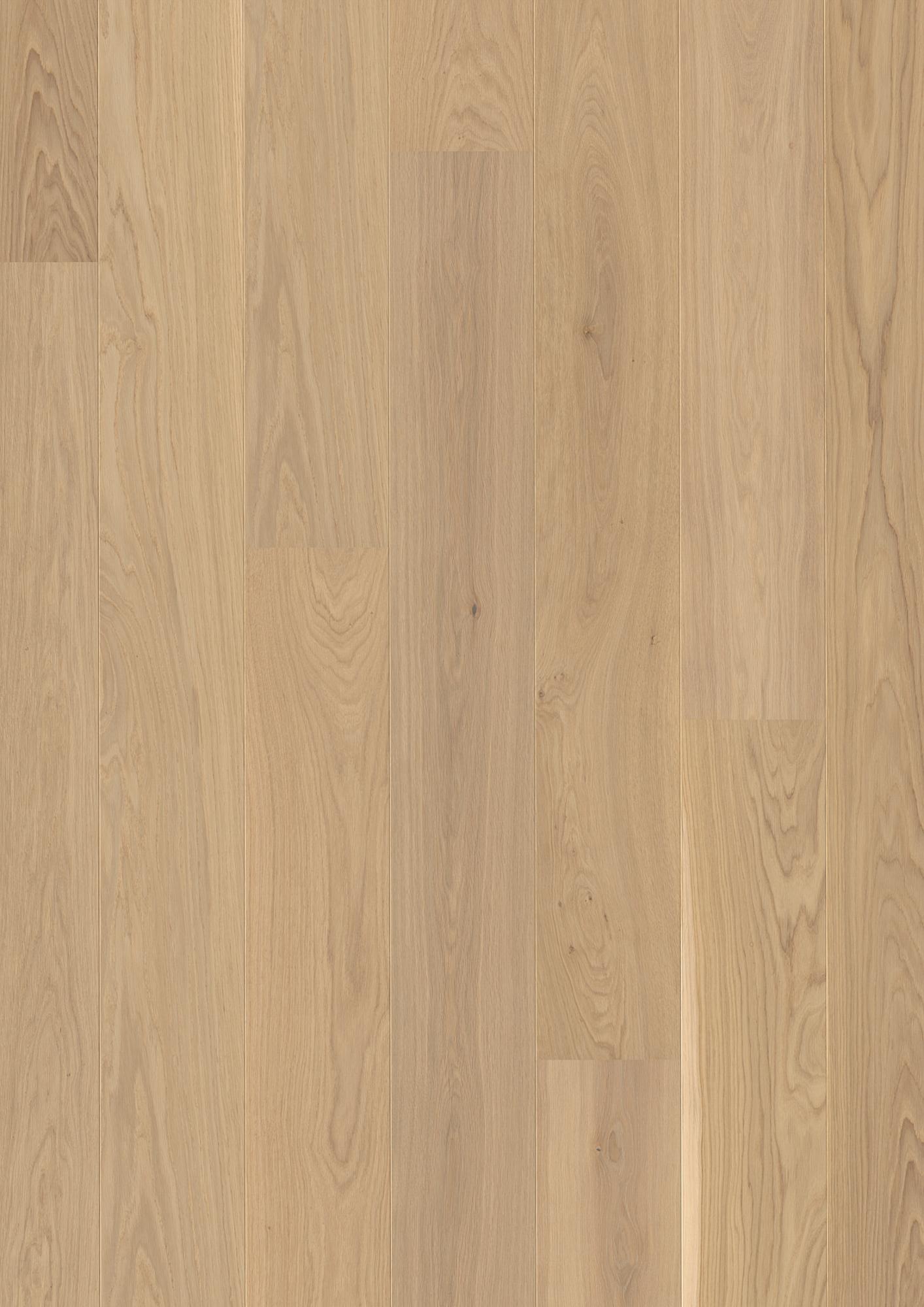 Oak Transparent Andante