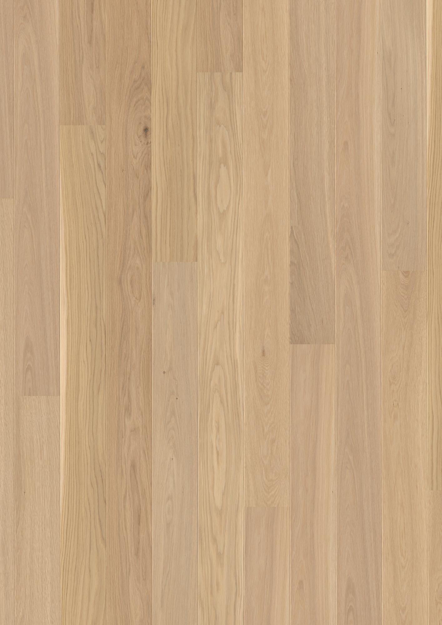 Oak Transparent Andante