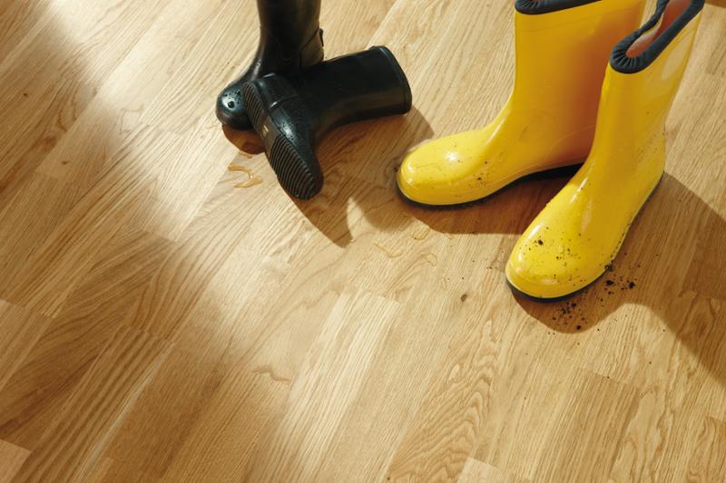 Oak Transparent Andante - slika 2