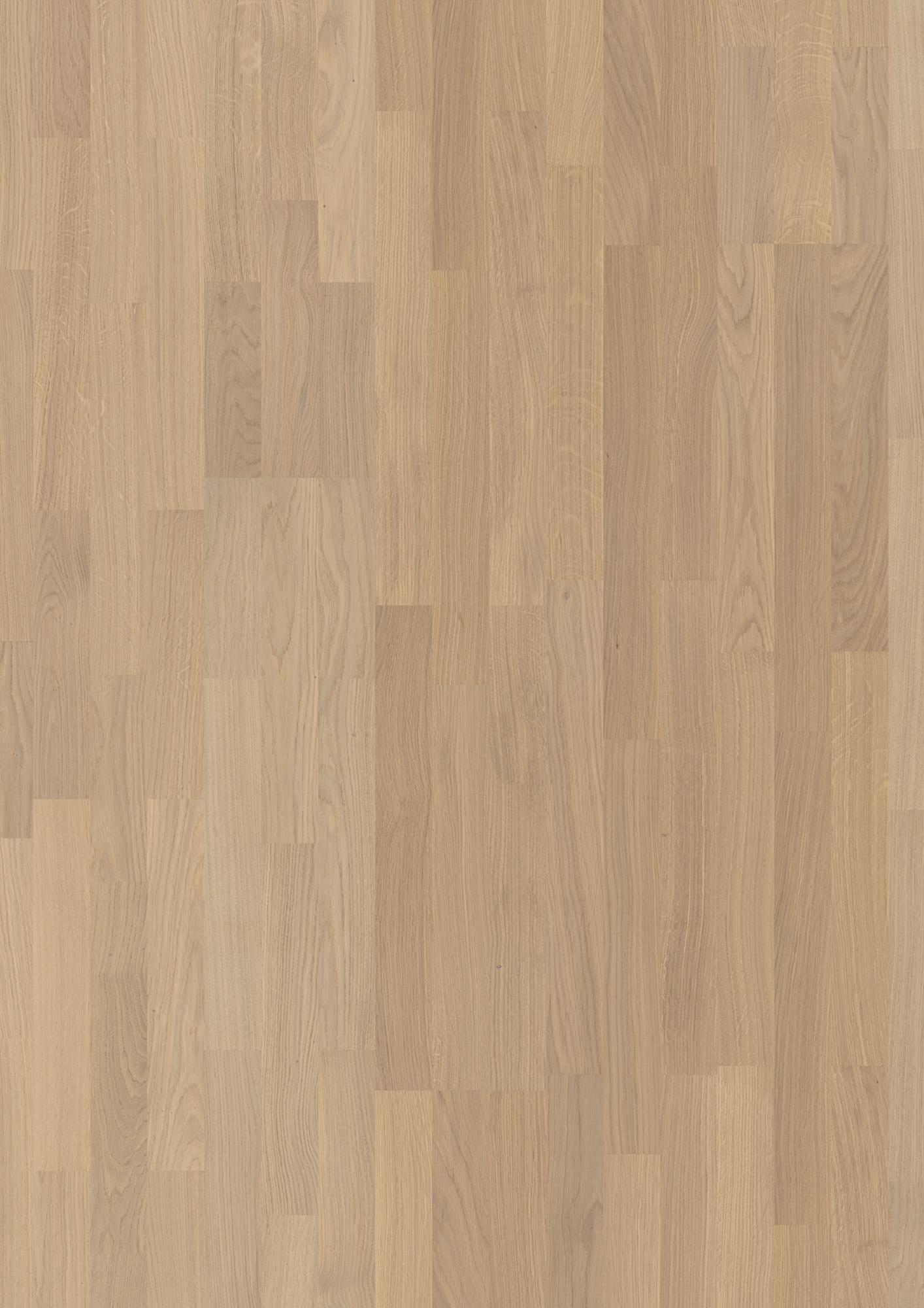 Oak Transparent Andante
