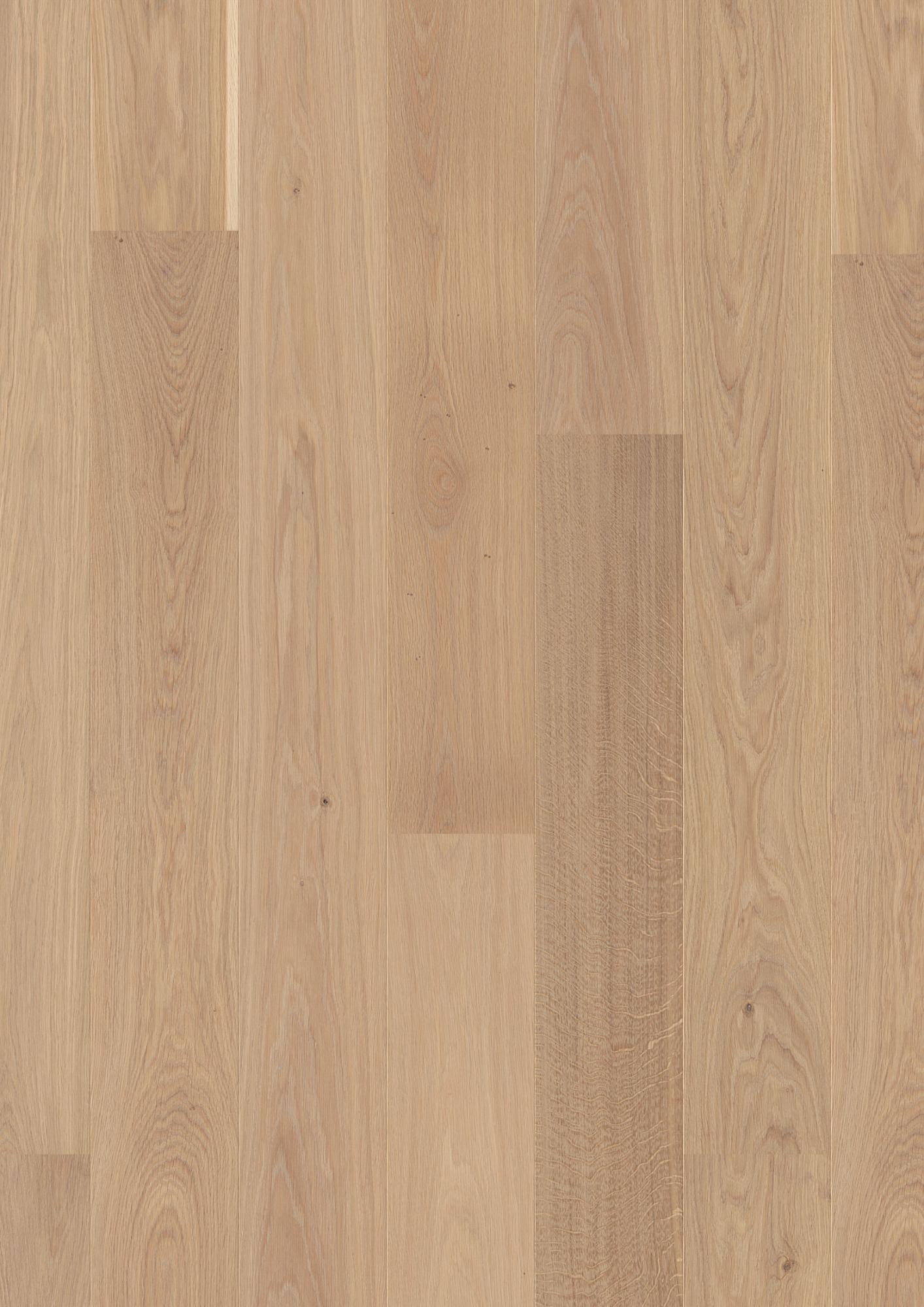 Oak Transparent Andante