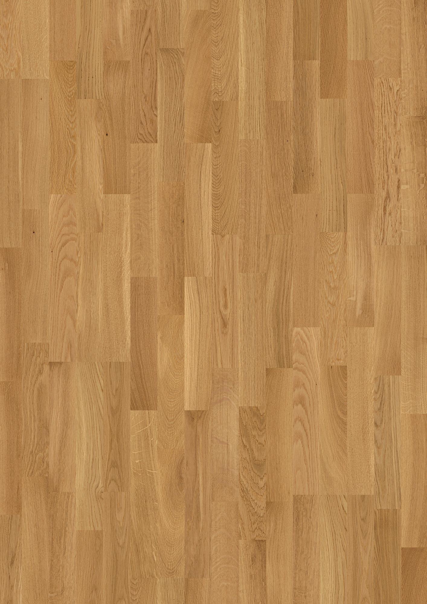 Oak Transparent Andante