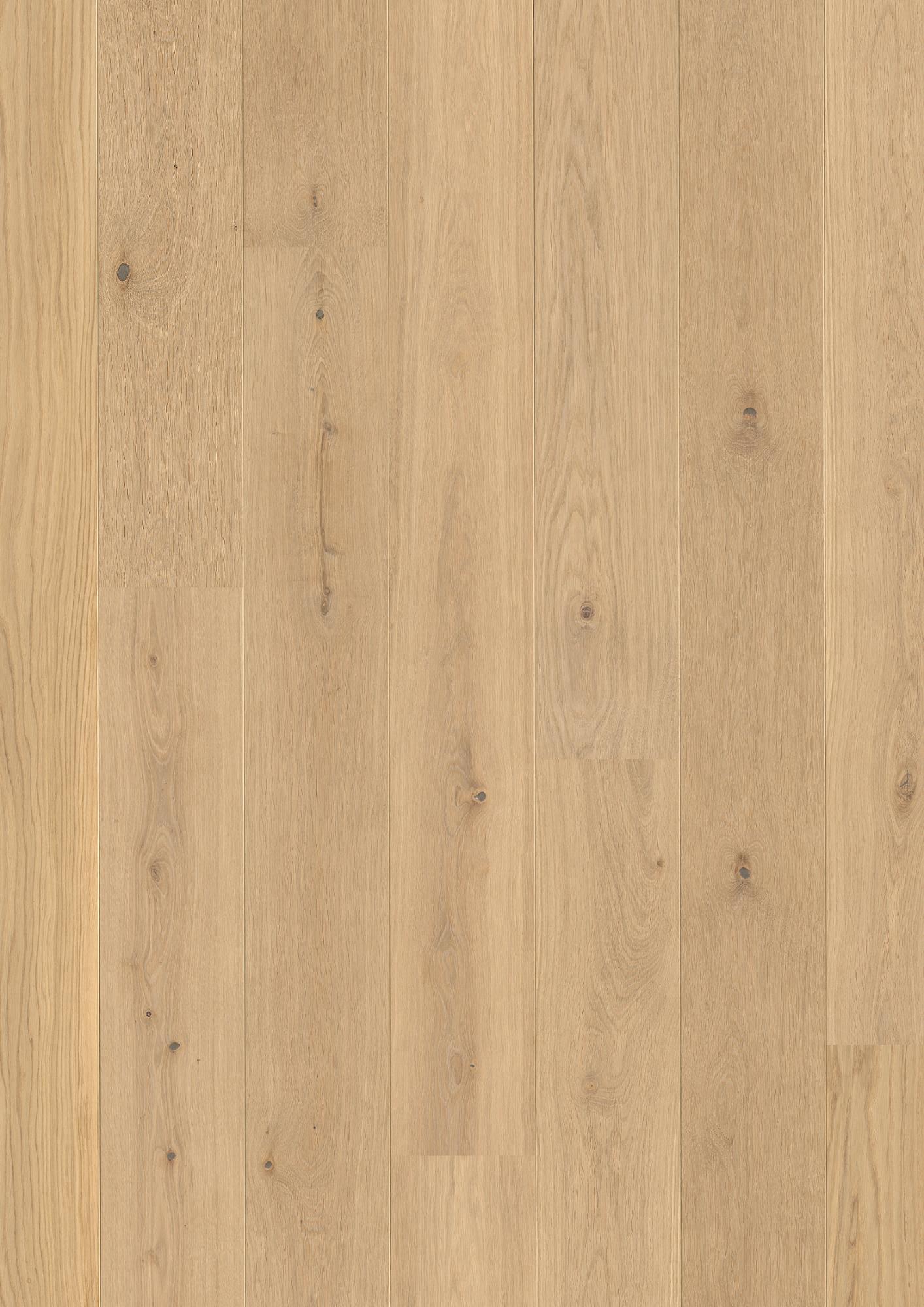 Oak Transparent Animoso