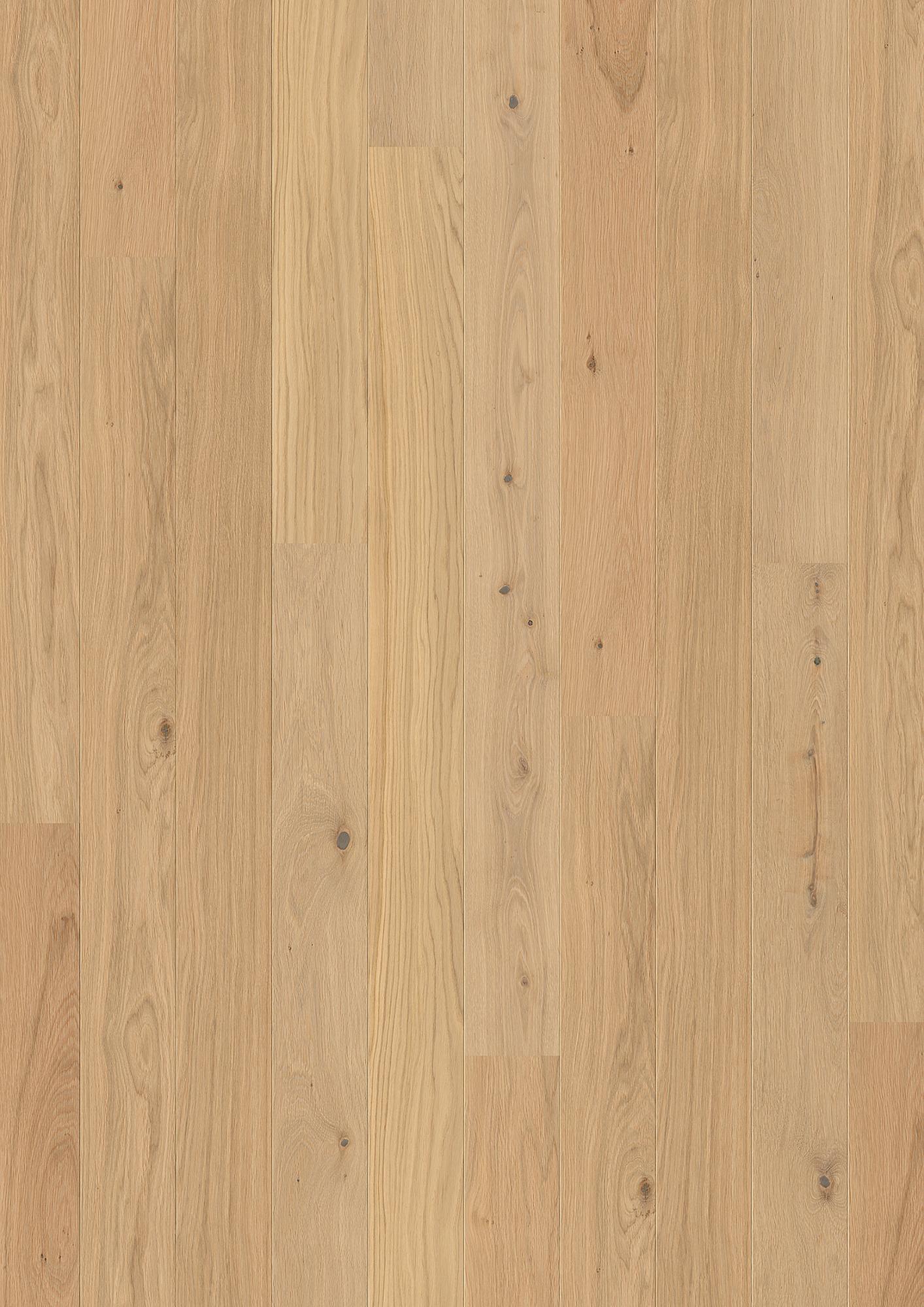 Oak Transparent Animoso