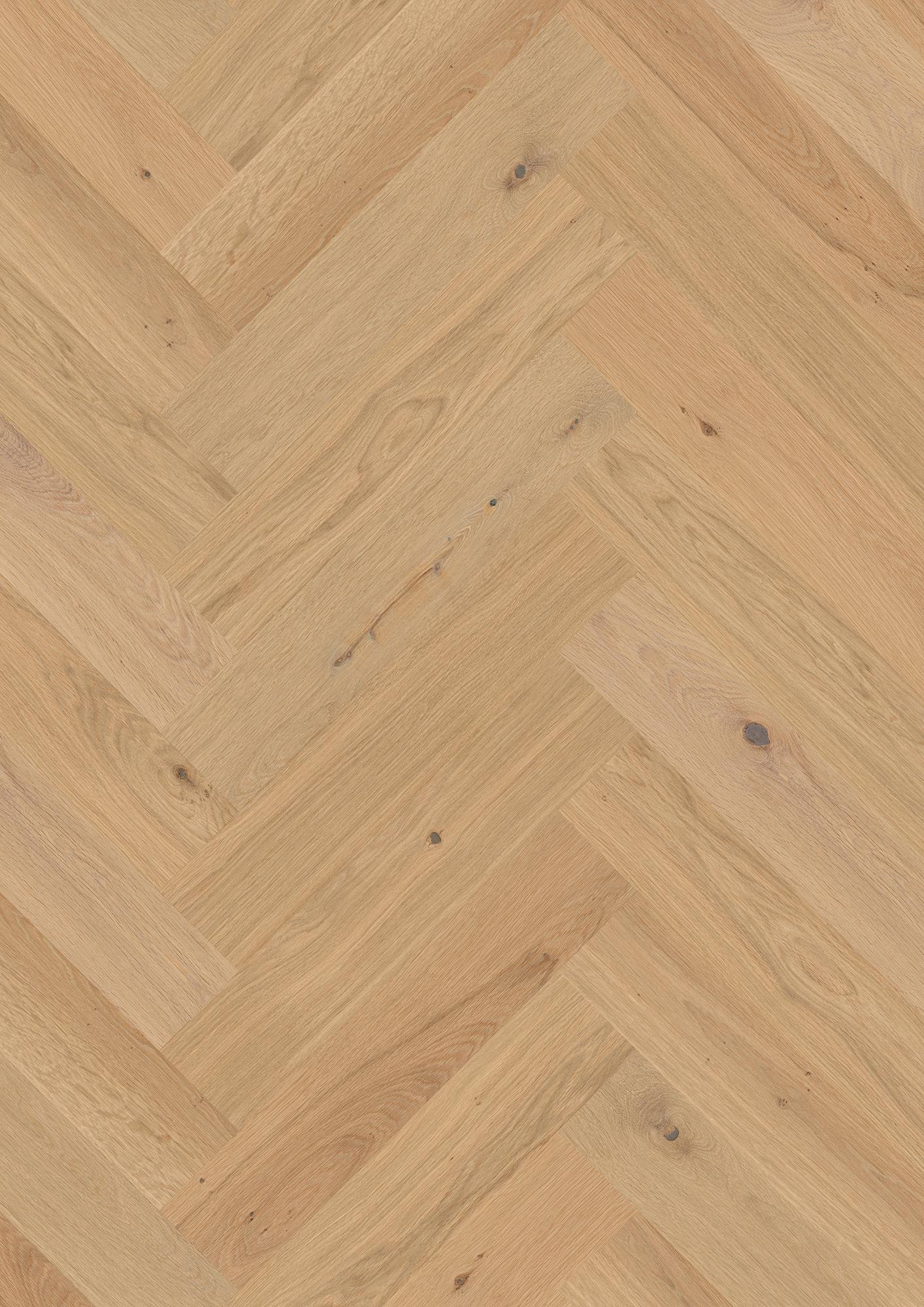 Oak Transparent Animoso