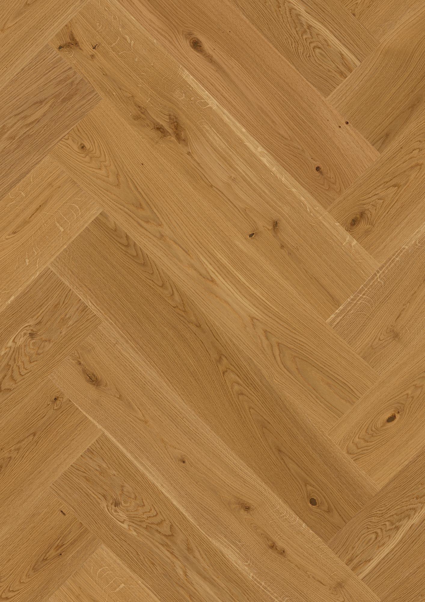 Oak Transparent Animoso