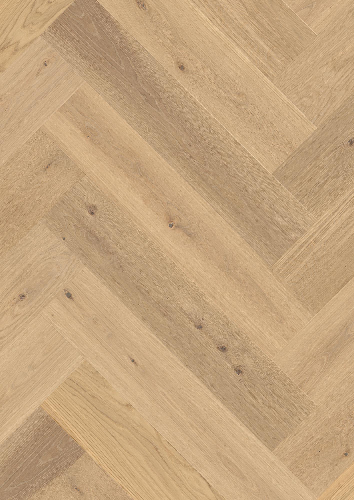 Oak Transparent Animoso