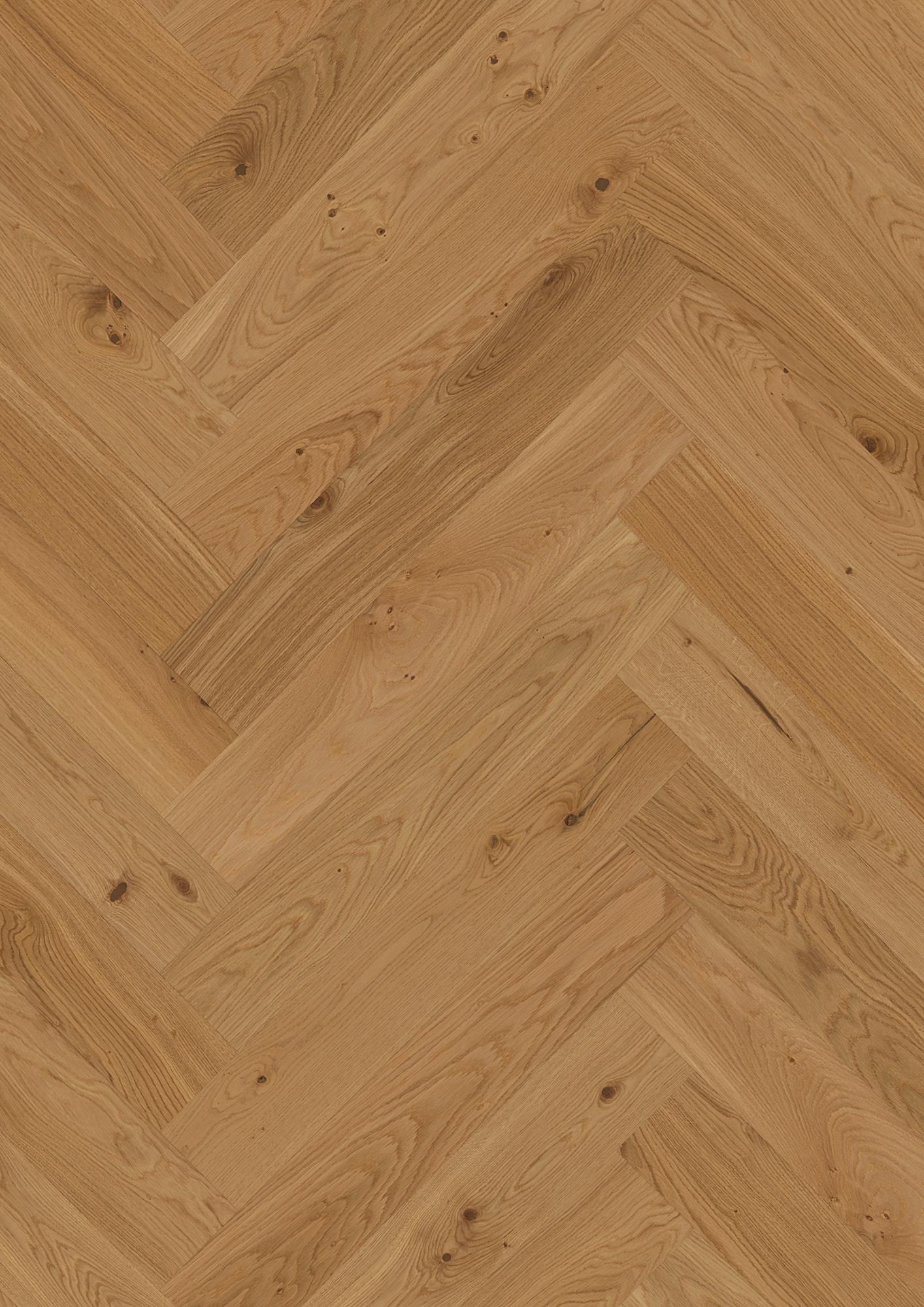 Oak Transparent Animoso