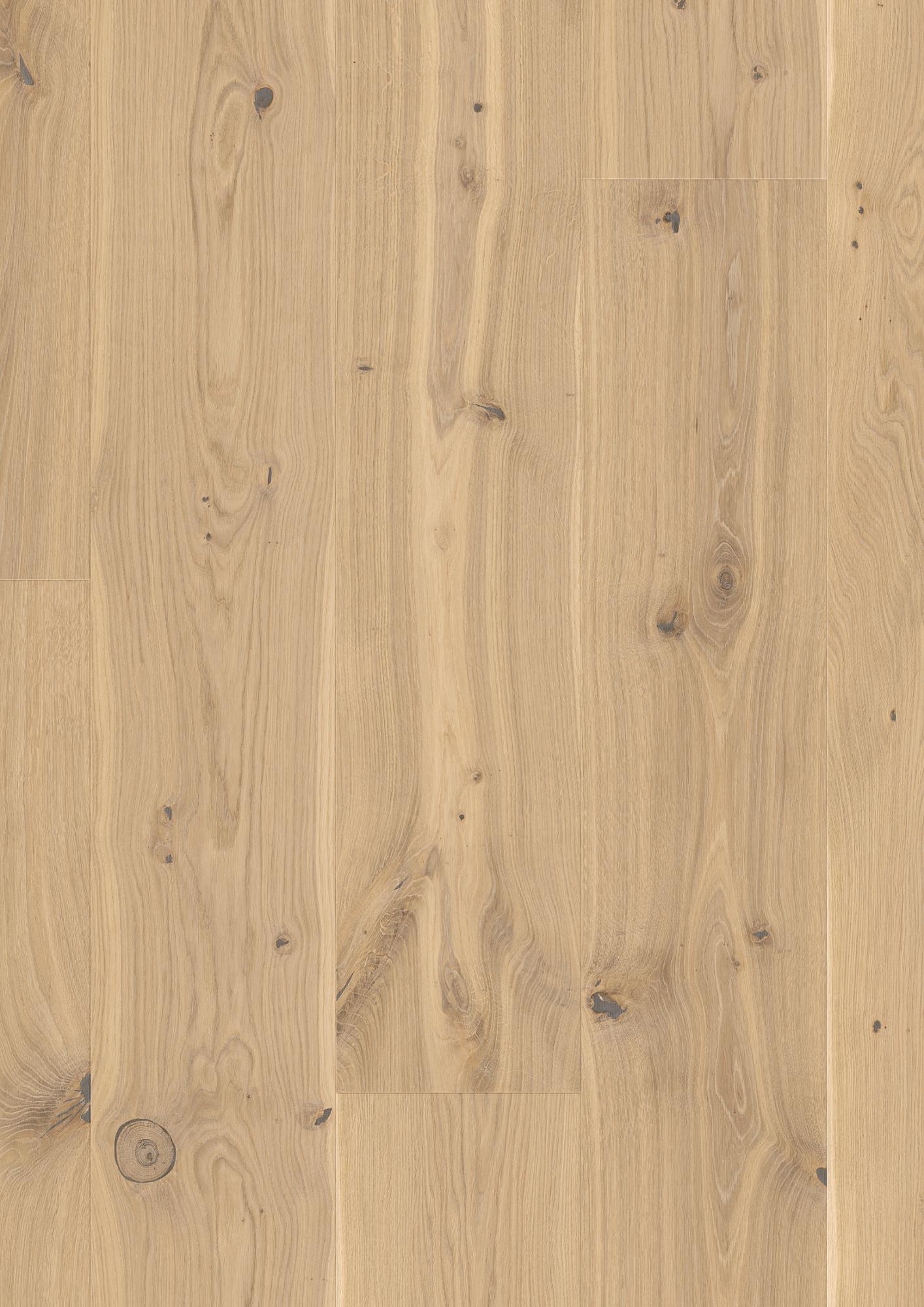 Oak Transparent Canyon