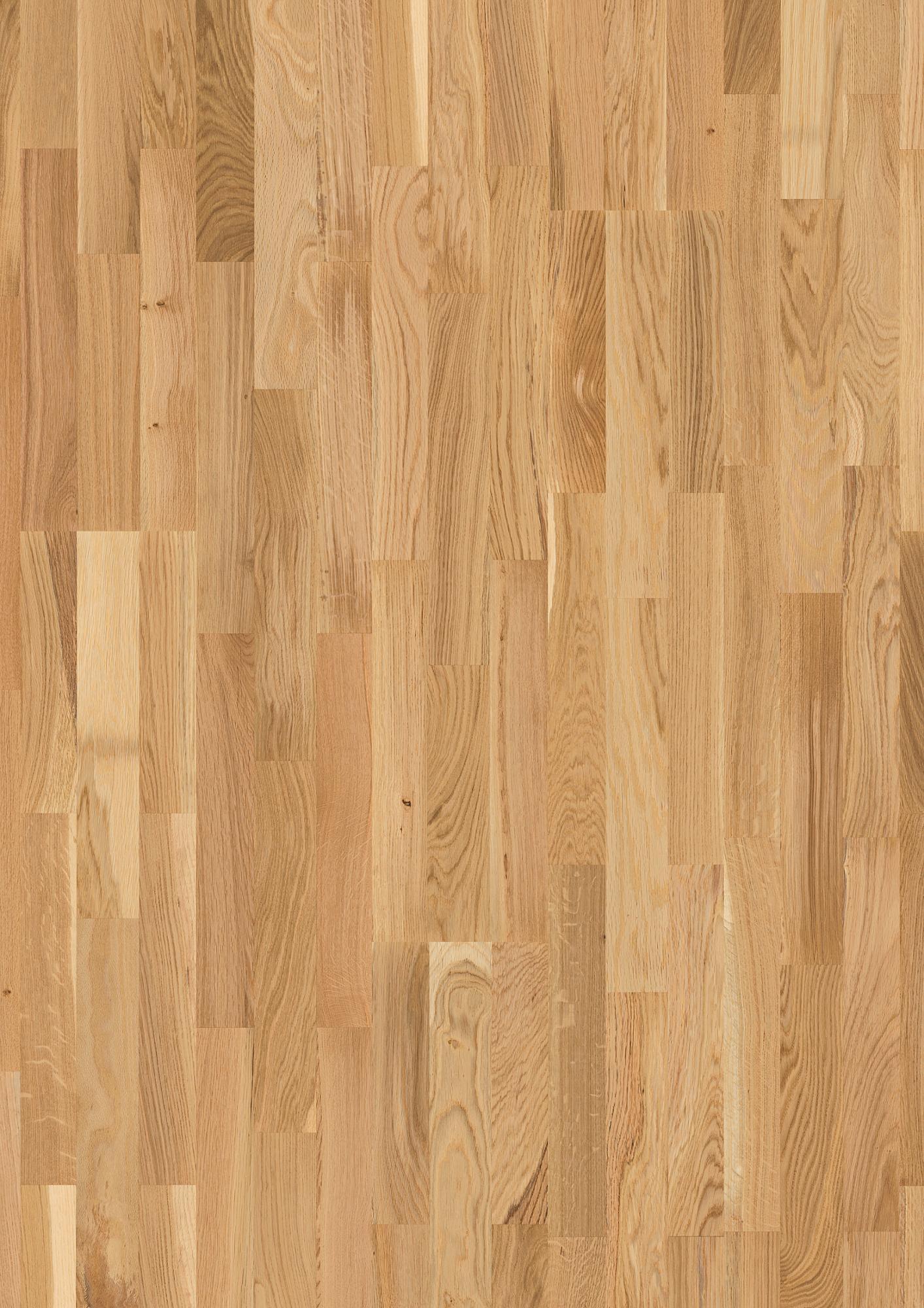Oak Transparent Vivace