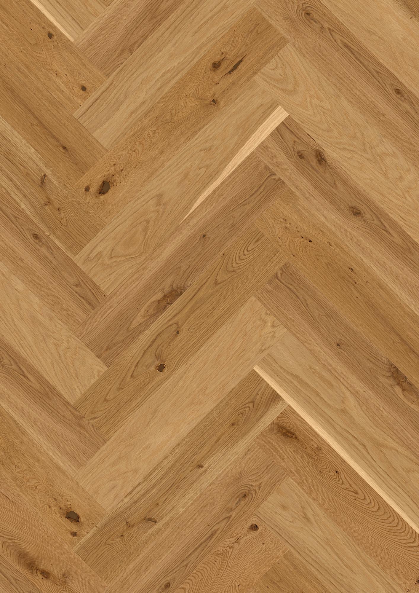 Oak Transparent Vivo