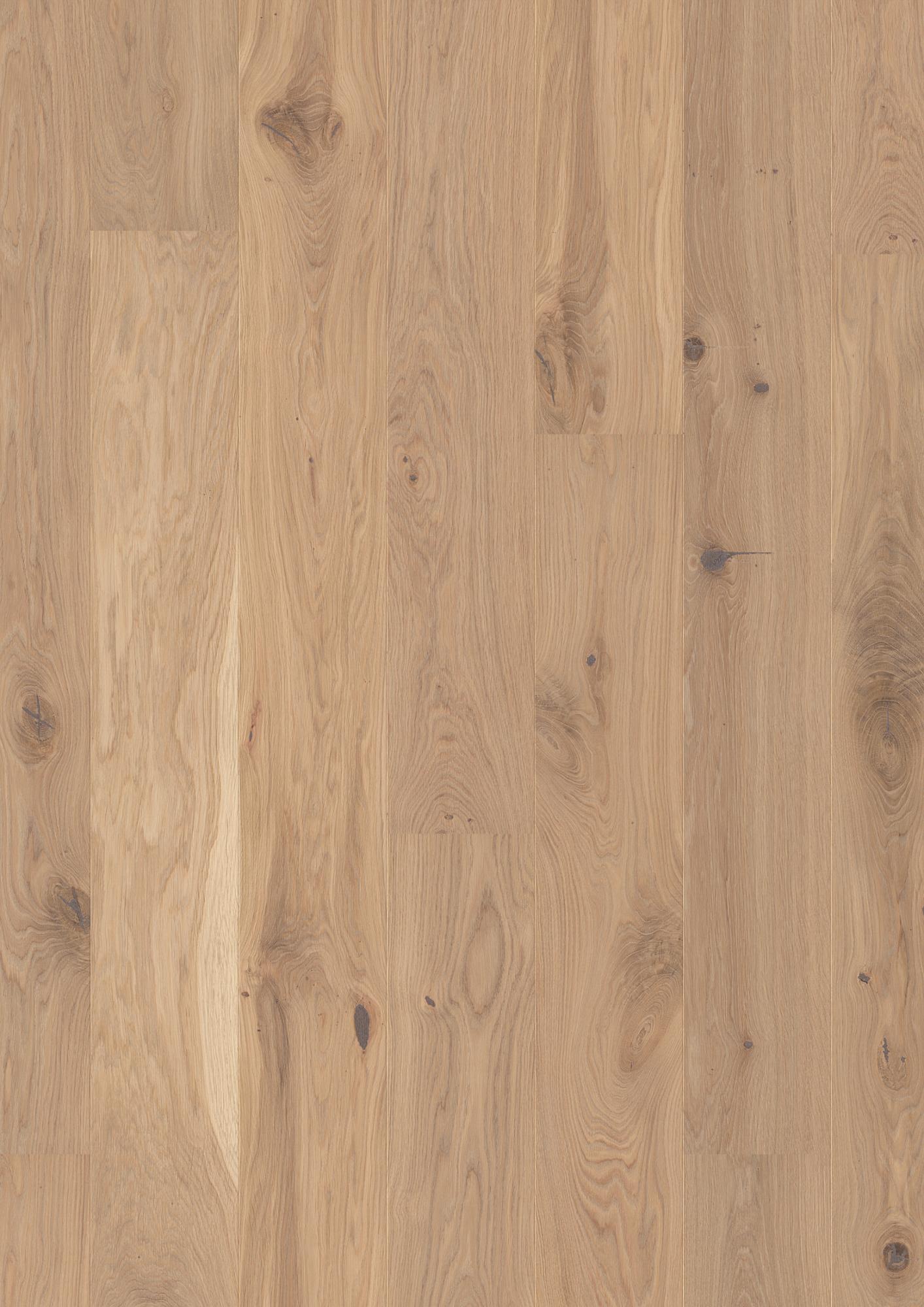 Oak Transparent Vivo