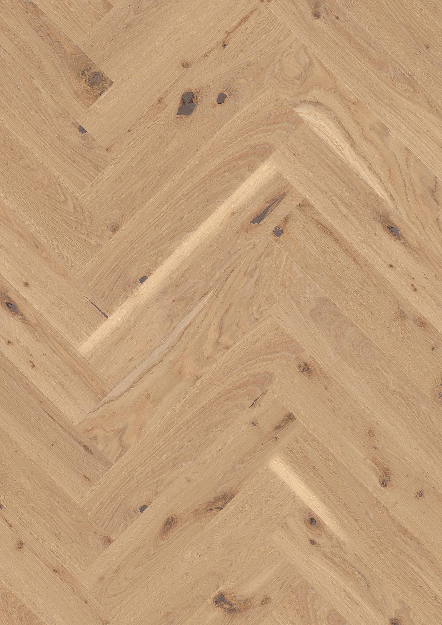 Oak Transparent Vivo