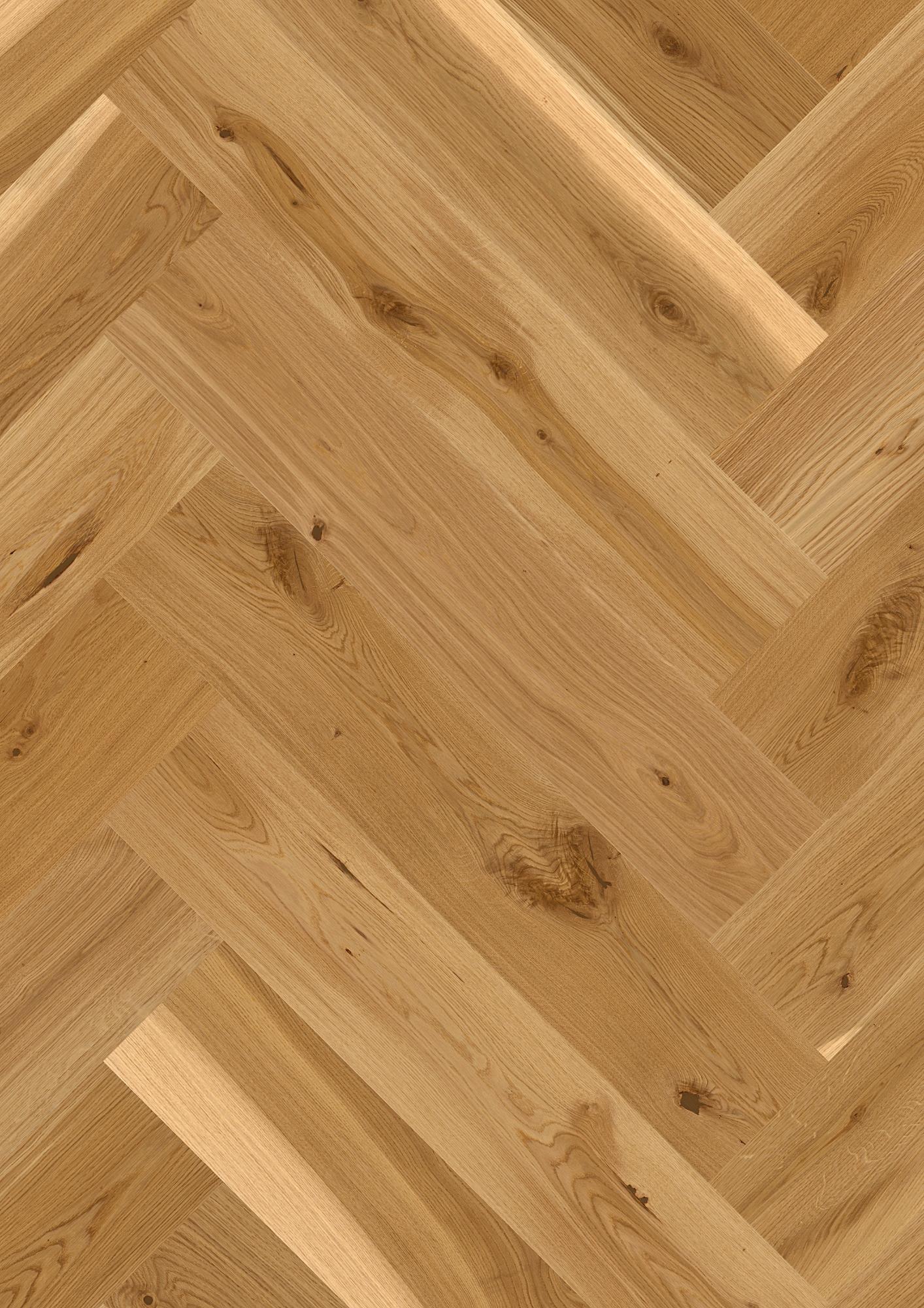 Oak Transparent Vivo