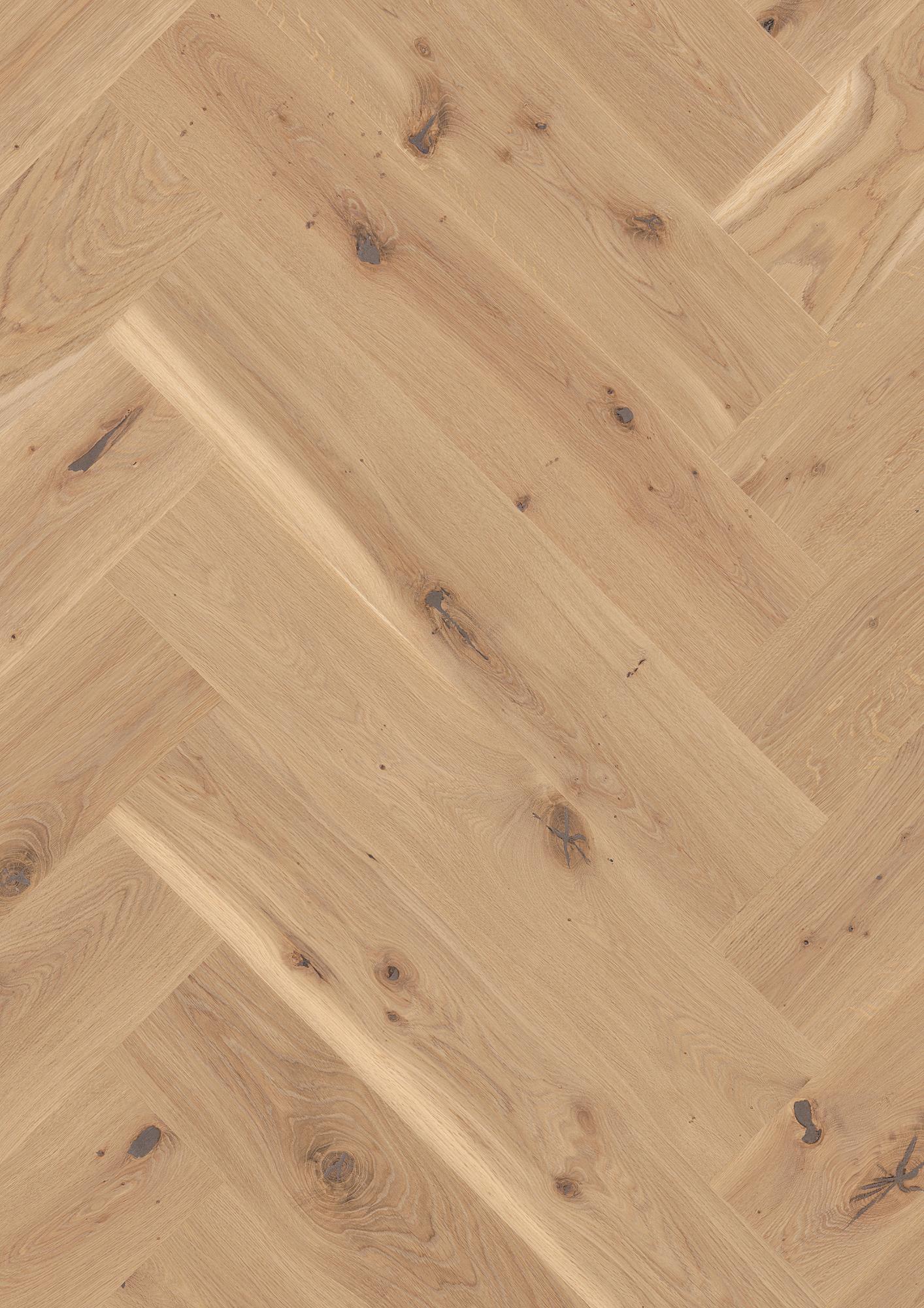 Oak Transparent Vivo