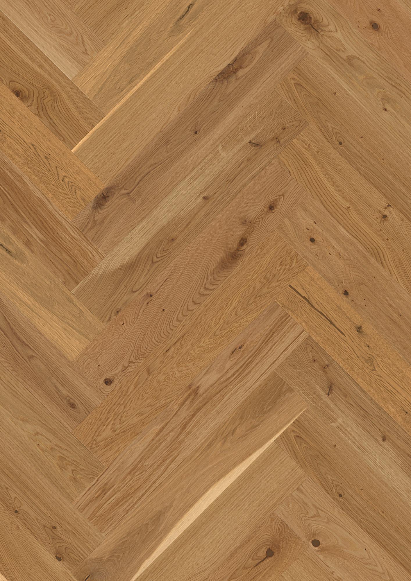 Oak Transparent Vivo