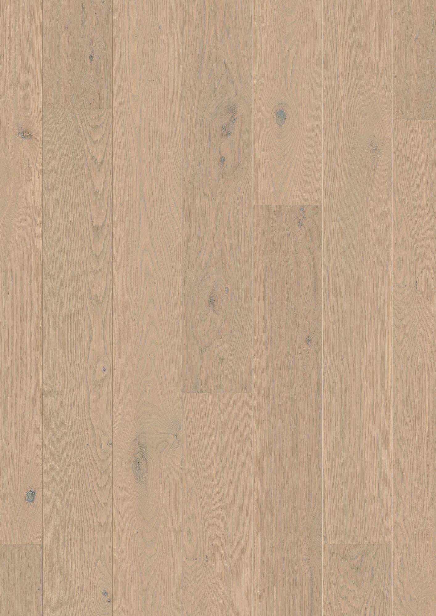 Oak Warm Cotton Animoso
