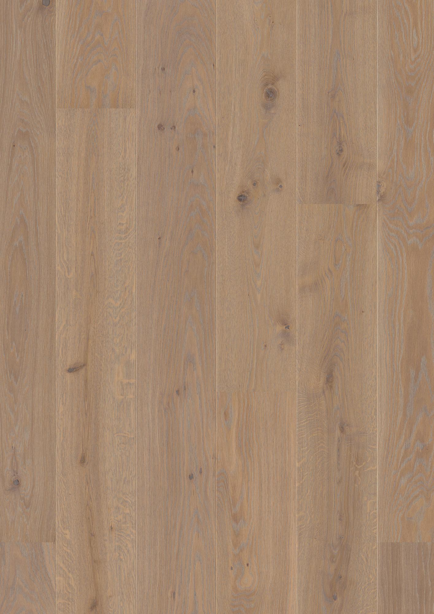 Oak Warm Grey Animoso