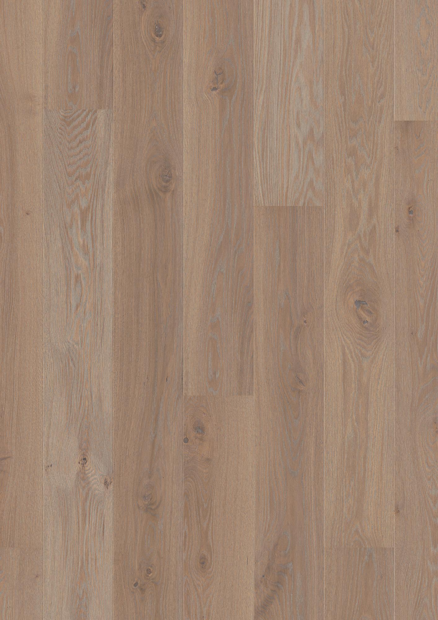 Oak Warm Grey Animoso