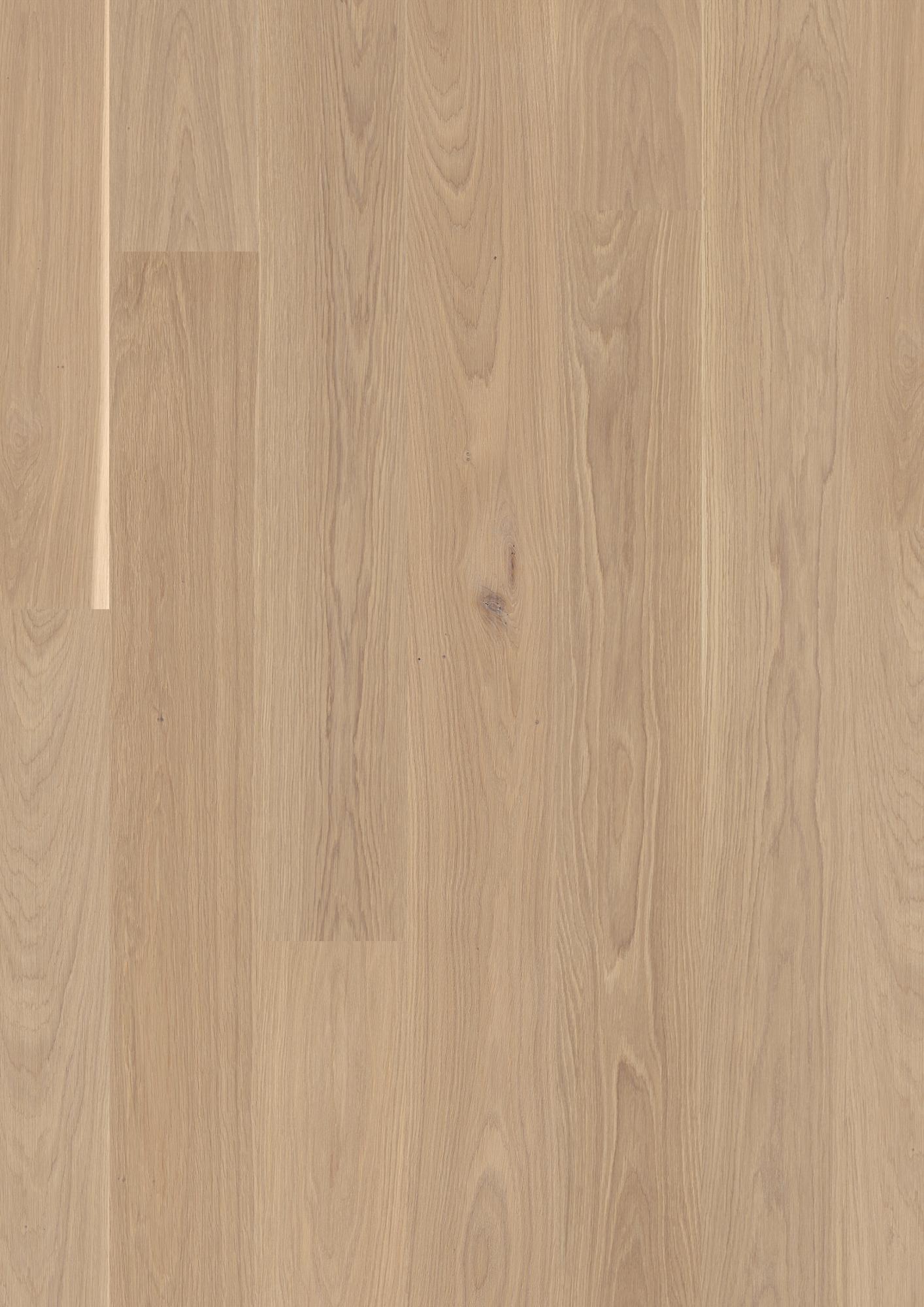 Oak White Andante