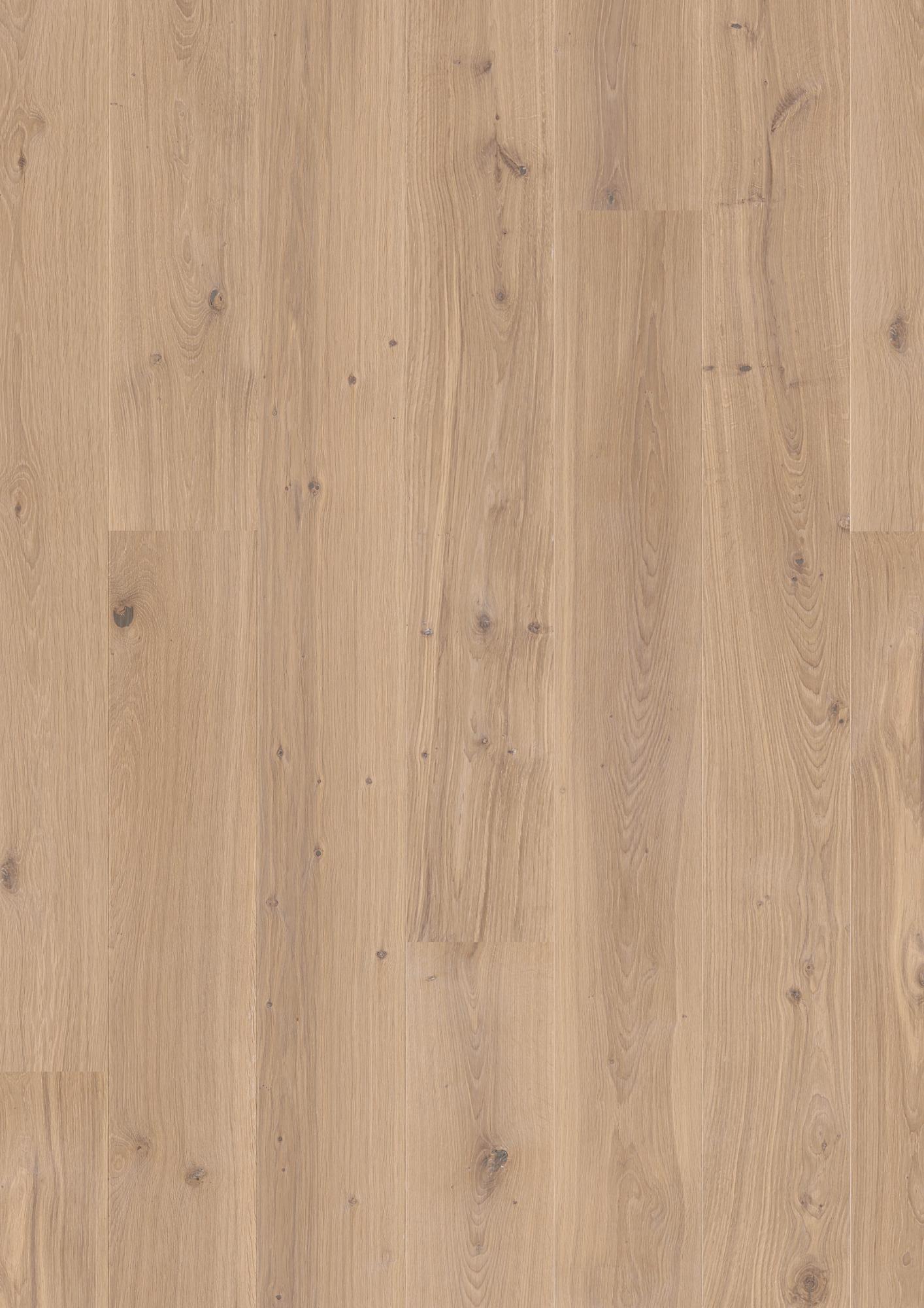Oak White Animoso