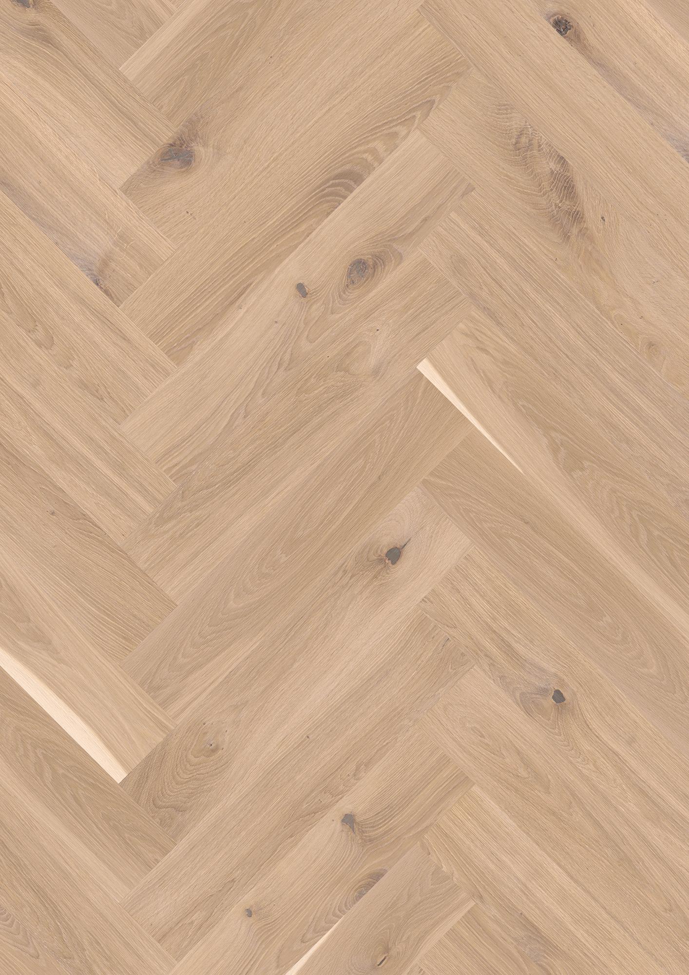 Oak White Vivo