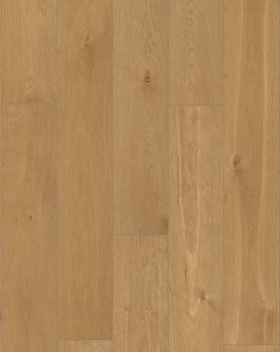 R081 Crescendo, HS